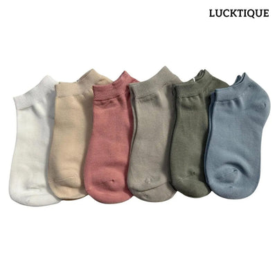 Colorful No Show Socks Pack of 16
